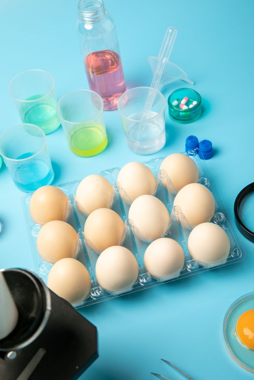 无菌鸡蛋食品安全农业科技食品培育摄影图 插画 下载至来源处